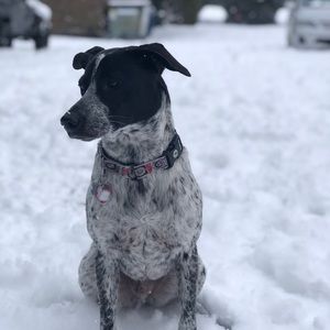Meet your Posher, Gretchen